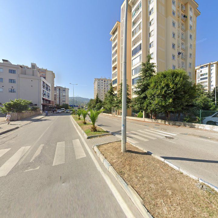 Aşiyan Kuş Ve Balık