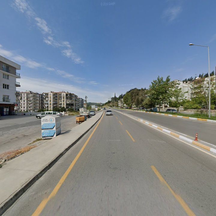 Fotoğraf 9