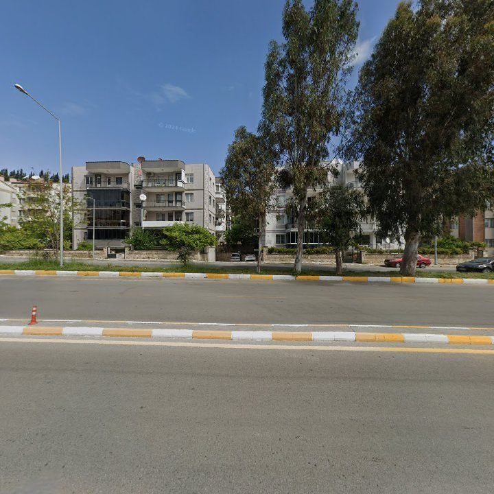 Fotoğraf 10