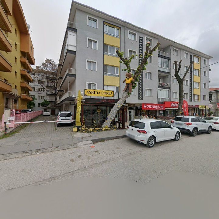 Fotoğraf 6