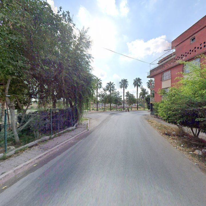 Fotoğraf 7