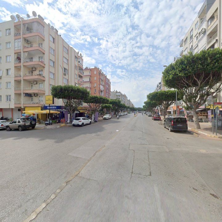 Fotoğraf 6