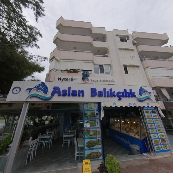Fotoğraf 14