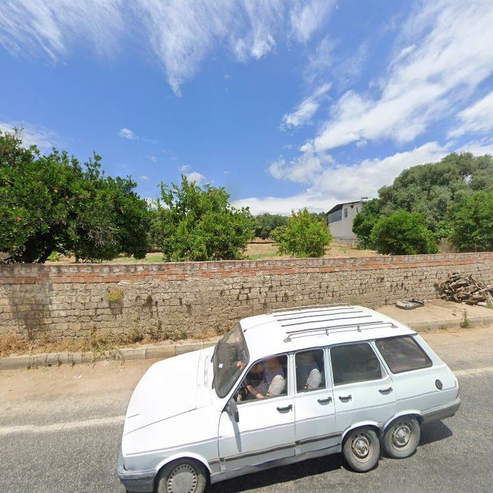 Fotoğraf 4
