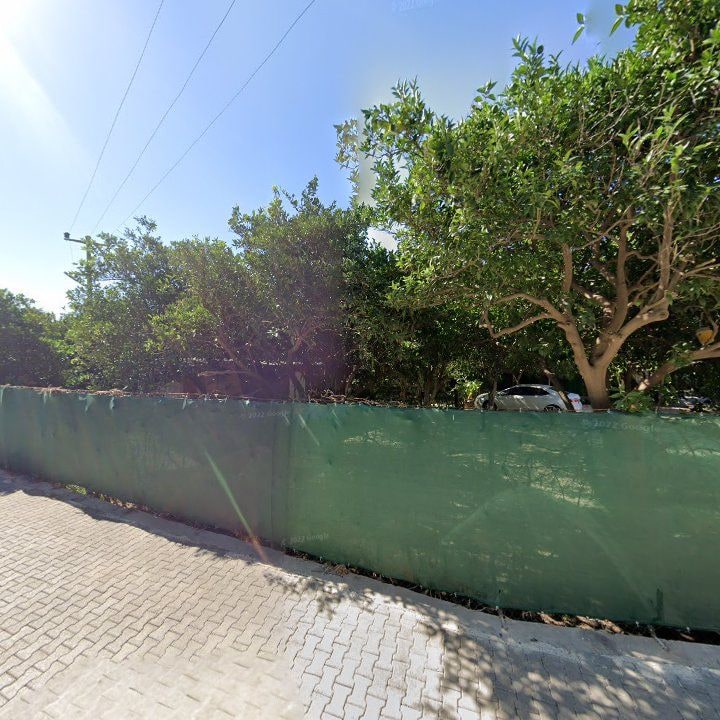 Fotoğraf 13