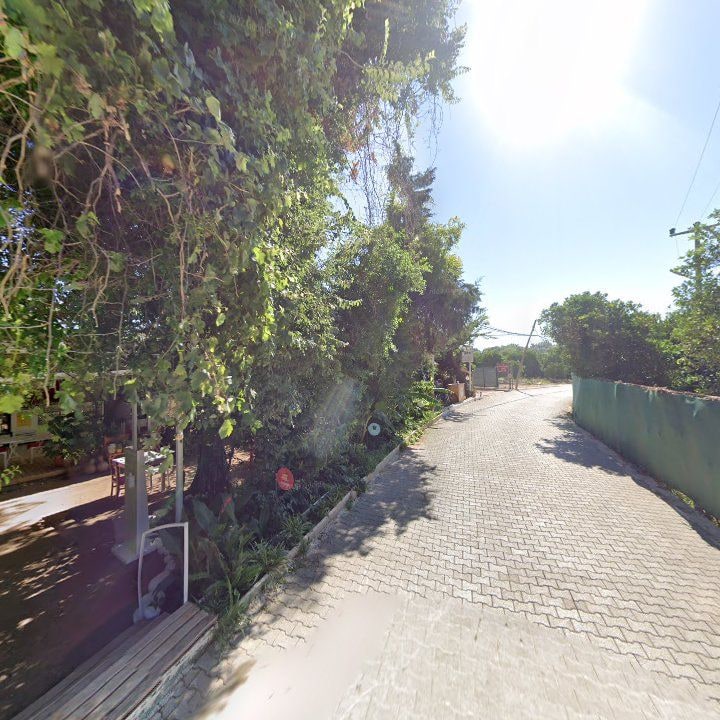 Fotoğraf 12