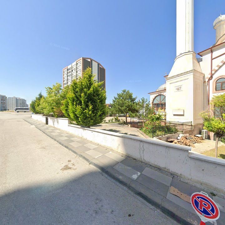 Fotoğraf 7
