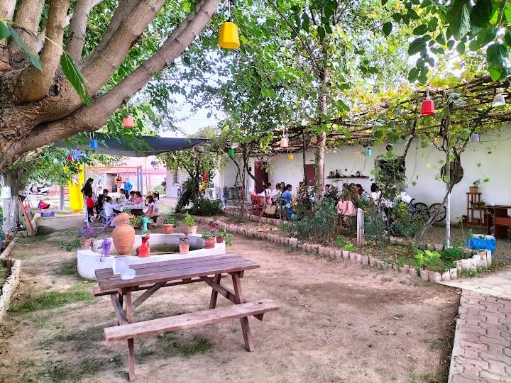 Asmaaltı Aile Çay Bahçesi