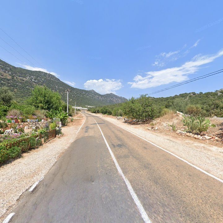 Fotoğraf 8