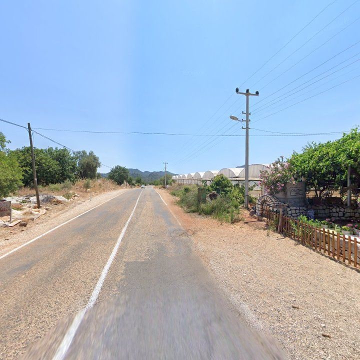 Fotoğraf 10