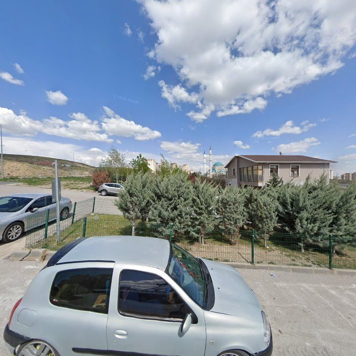 Fotoğraf 8