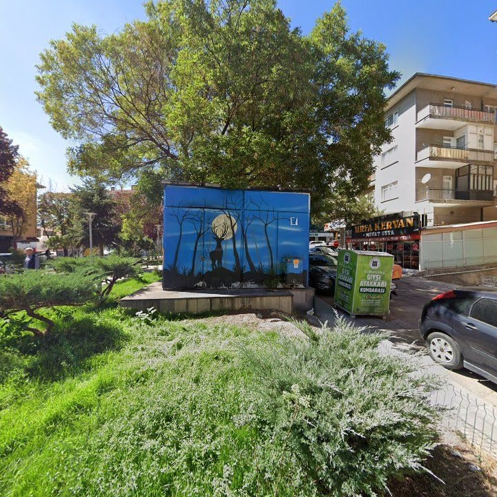 Fotoğraf 2