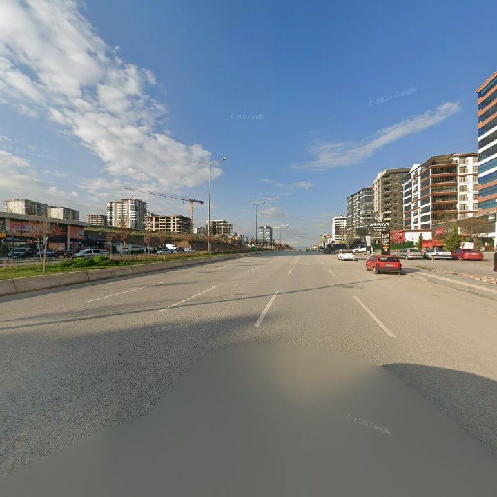 Fotoğraf 10