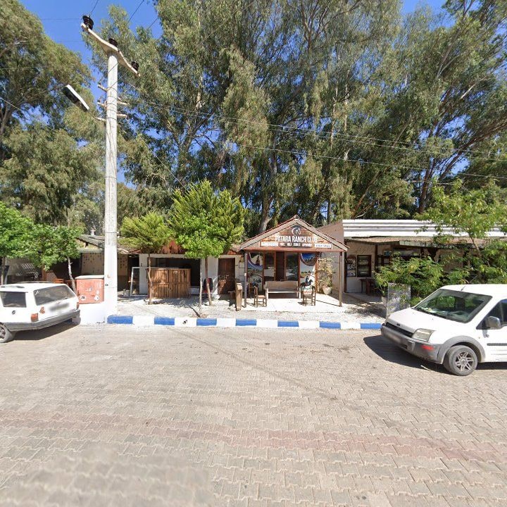 Fotoğraf 12