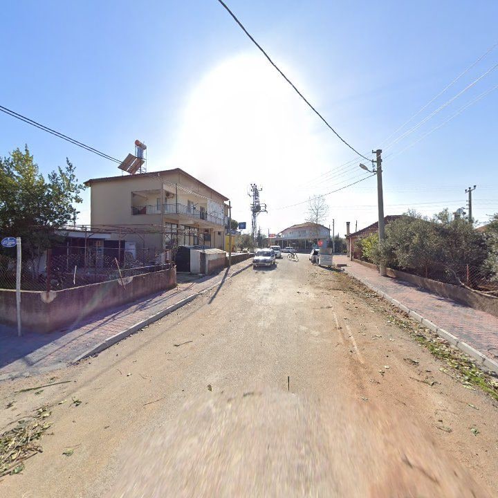 Fotoğraf 8