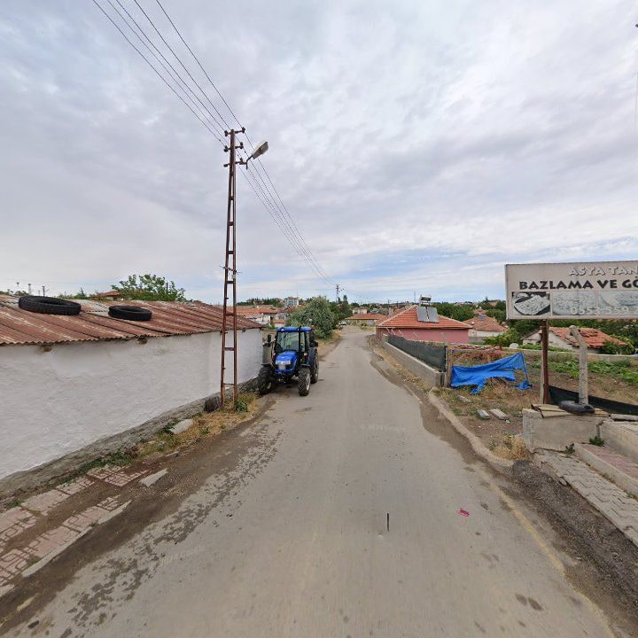 Fotoğraf 7