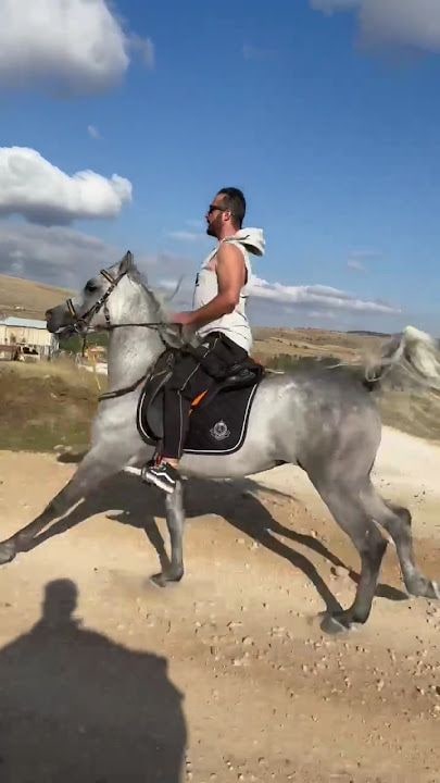 At Çayırı