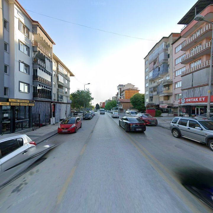 Fotoğraf 14