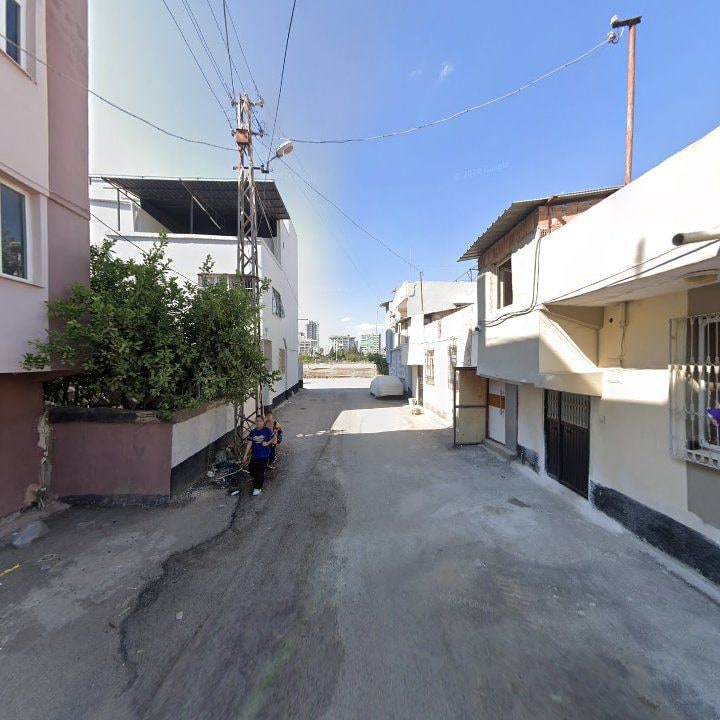 Fotoğraf 4
