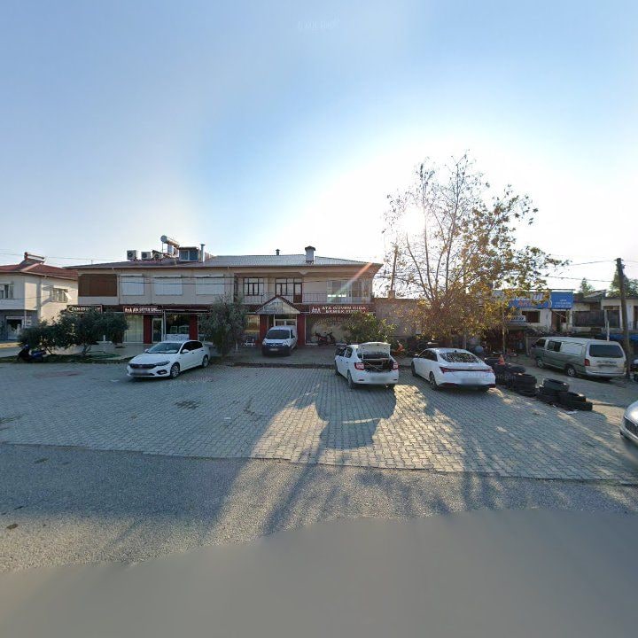 Fotoğraf 3