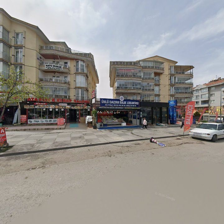 Fotoğraf 3
