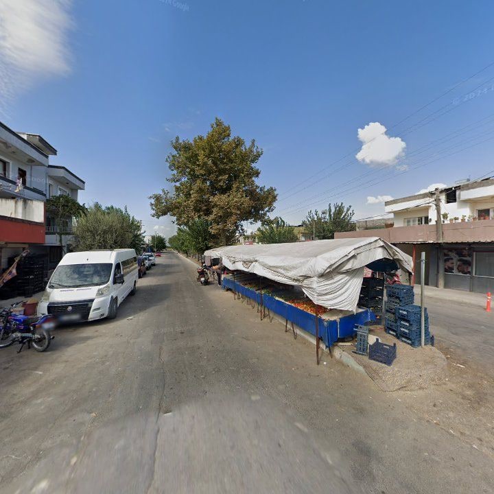 Fotoğraf 3