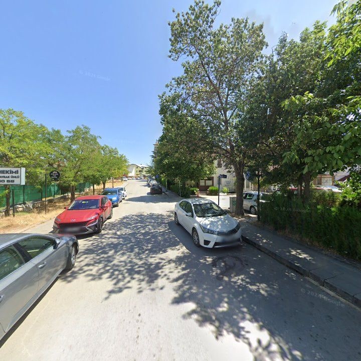 Fotoğraf 9