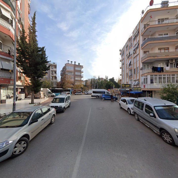 Fotoğraf 2