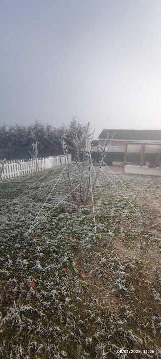 Ateşlerin Huzur Bahçesi