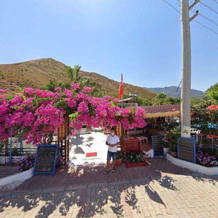 Fotoğraf 7