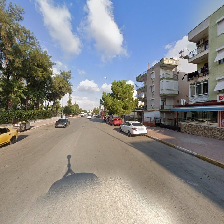 Fotoğraf 11