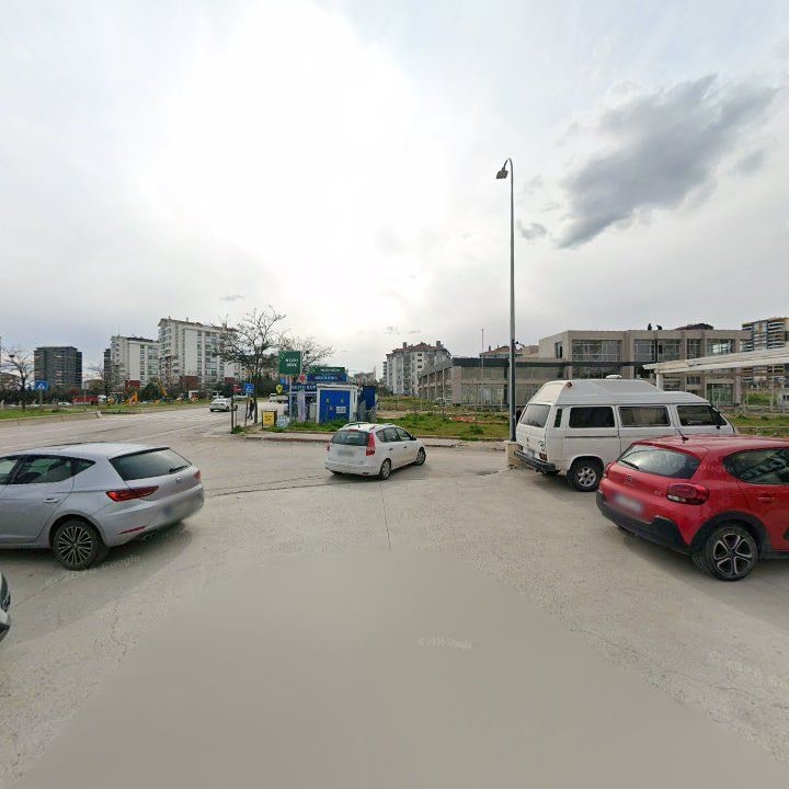 Fotoğraf 8