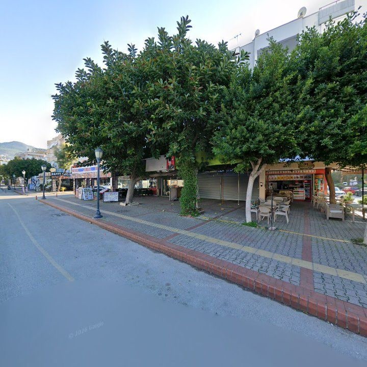 Fotoğraf 9
