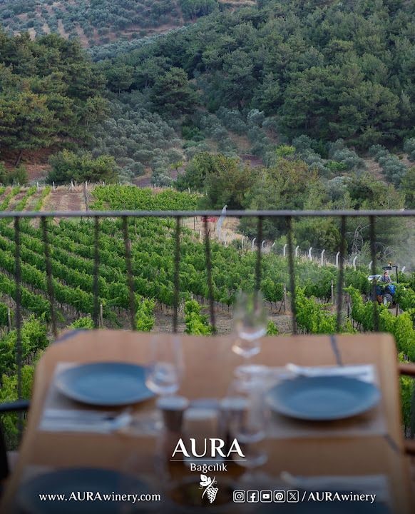 Aura Bağcılık