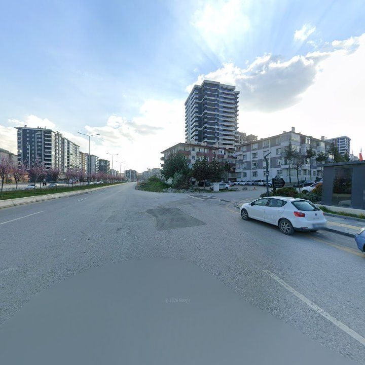 Fotoğraf 11