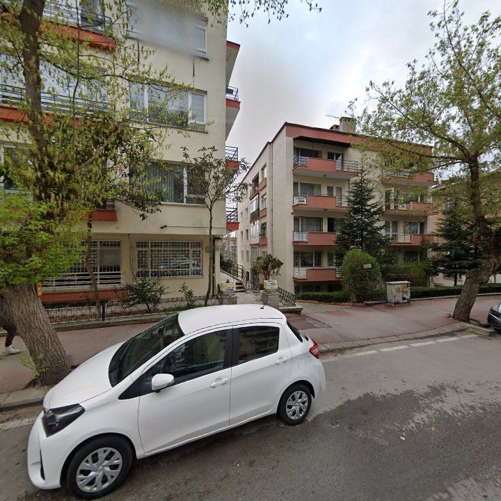 Fotoğraf 12
