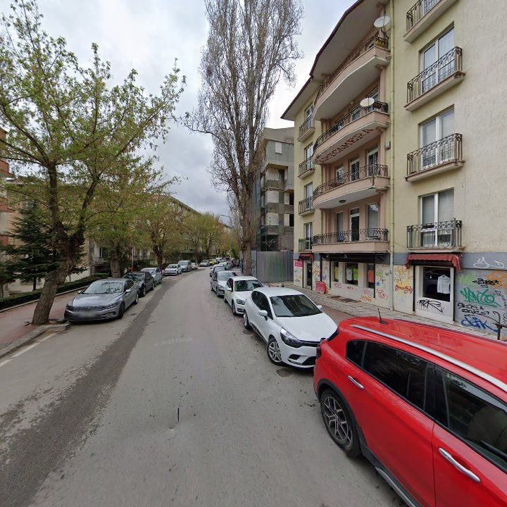 Fotoğraf 13