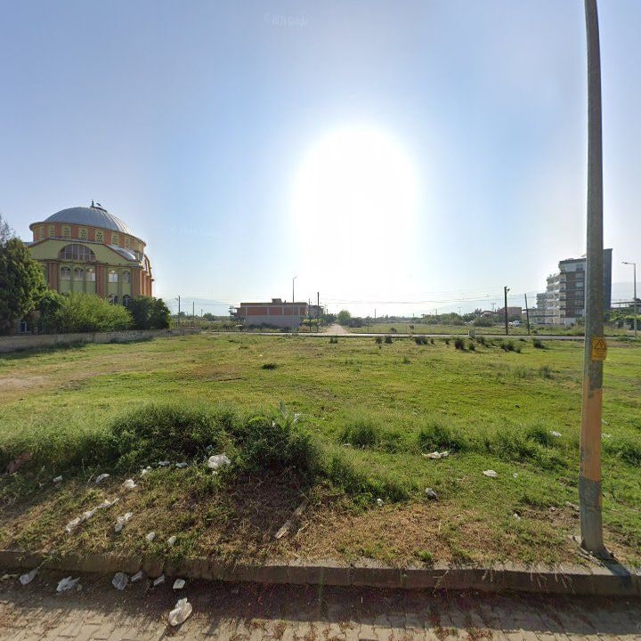 Fotoğraf 6