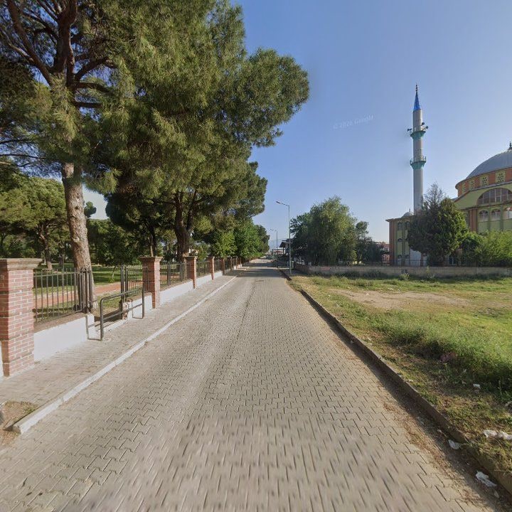 Fotoğraf 5