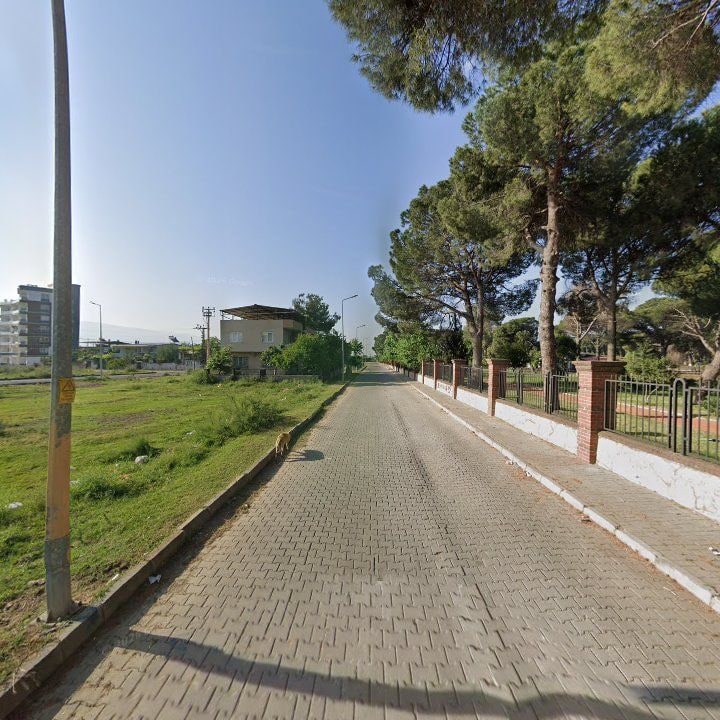 Fotoğraf 7