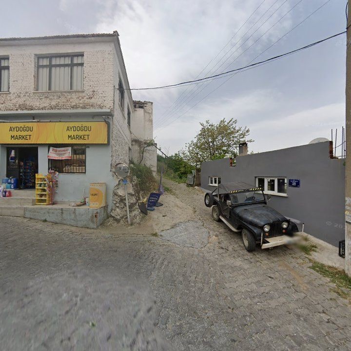 Fotoğraf 7