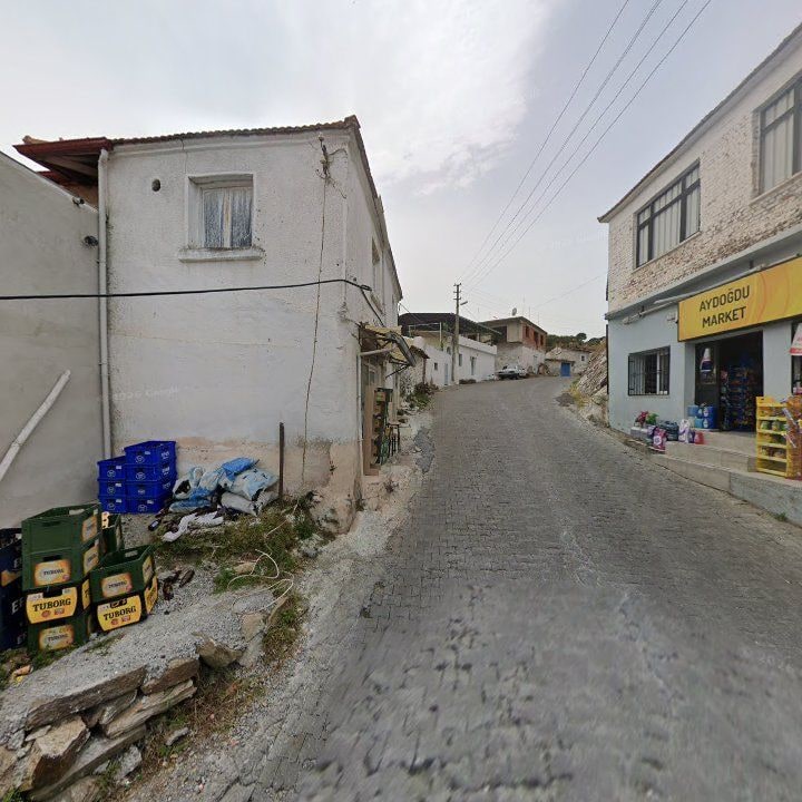 Fotoğraf 6