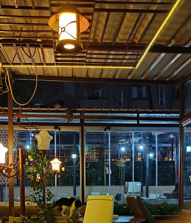 Avcılar Çay Bahçesi