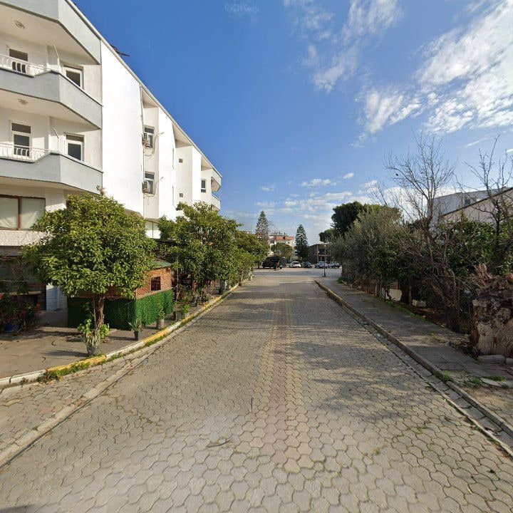 Fotoğraf 7