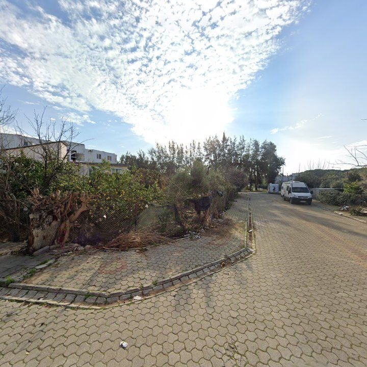 Fotoğraf 8