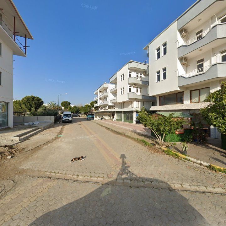 Fotoğraf 6