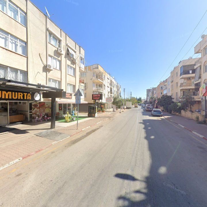 Fotoğraf 7