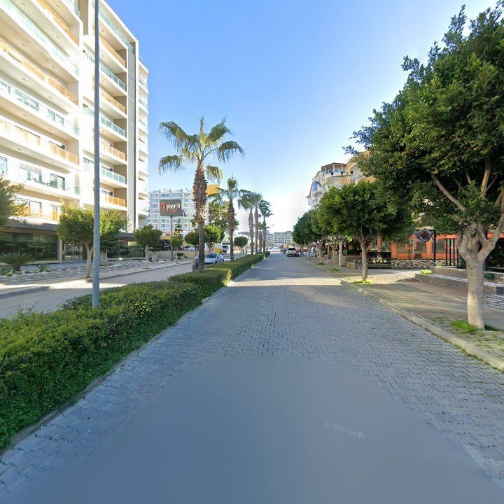 Fotoğraf 10