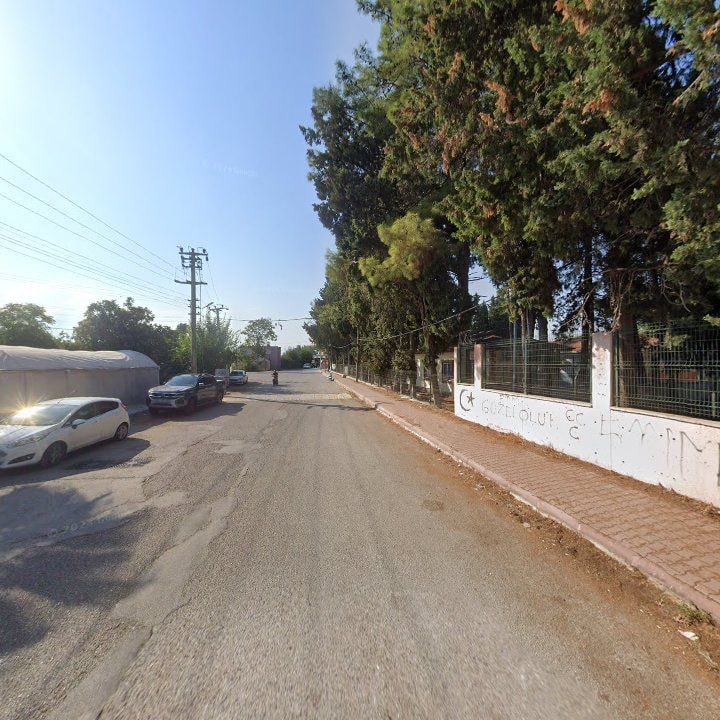 Fotoğraf 10