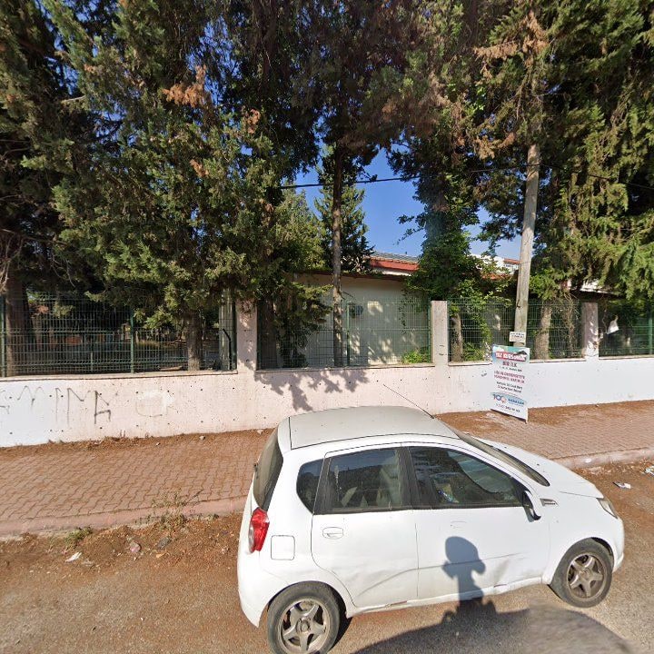 Fotoğraf 11